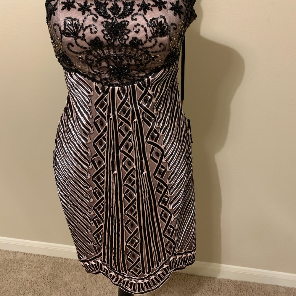 Sue Wong NWT gorgeous blush and black dress size 2